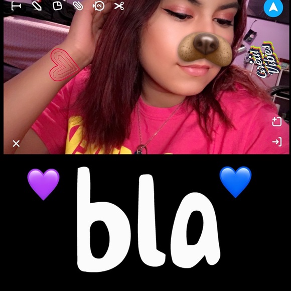 Meet your Posher, Roxy - Picture 1 of 1